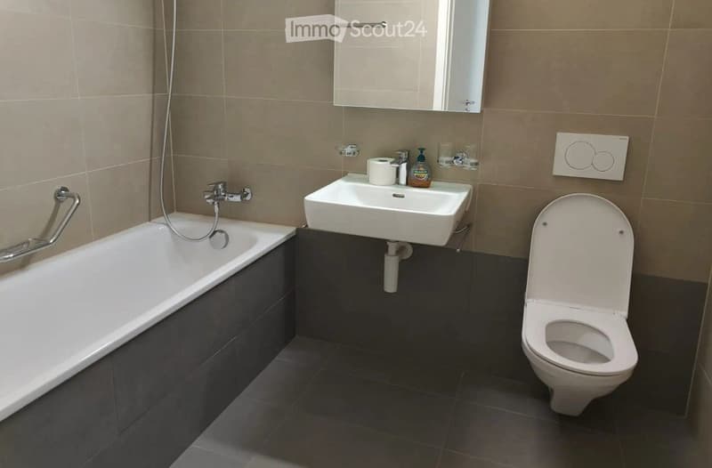 NYON Furnished room in beautiful shared apartment 130m2/4 rooms (4)