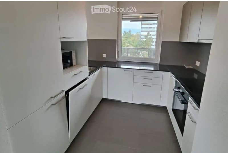NYON Furnished room in beautiful shared apartment 130m2/4 rooms (5)