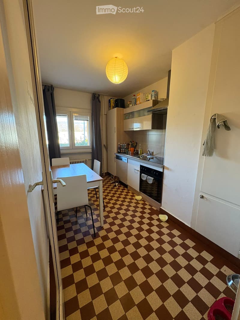 Appartamento Yverdon-les-bains 2,5 locali (5)