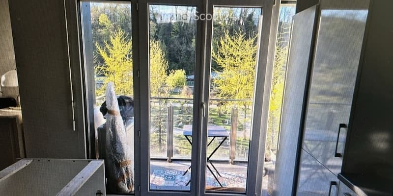 Superbo appartamento di 4 locali a Carouge (2)