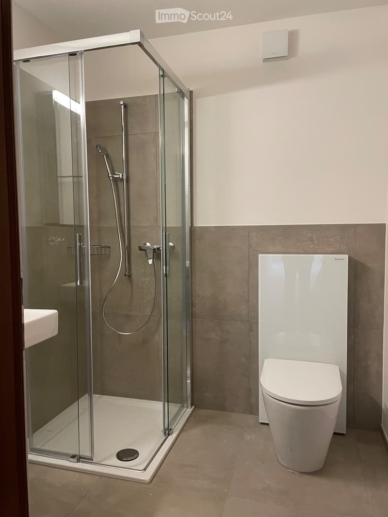 4.5 room apartment (4)