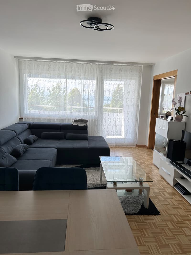 Geräumige 4.5-Zimmer-Wohnung von 101 m² (3)