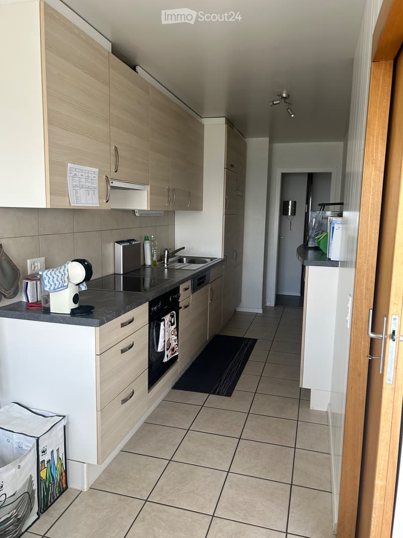 Geräumige 4.5-Zimmer-Wohnung von 101 m² (2)