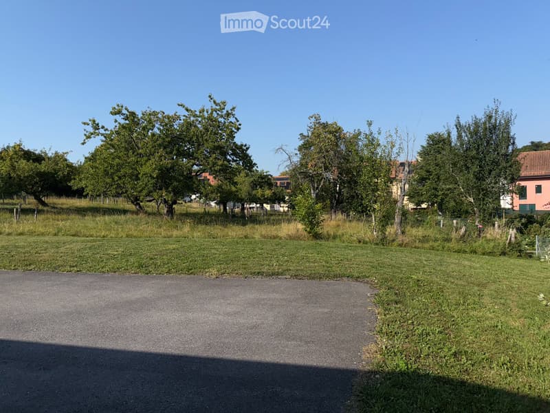 A vendre Morrens Duplex 4.5 pièces, 160m2 (3)