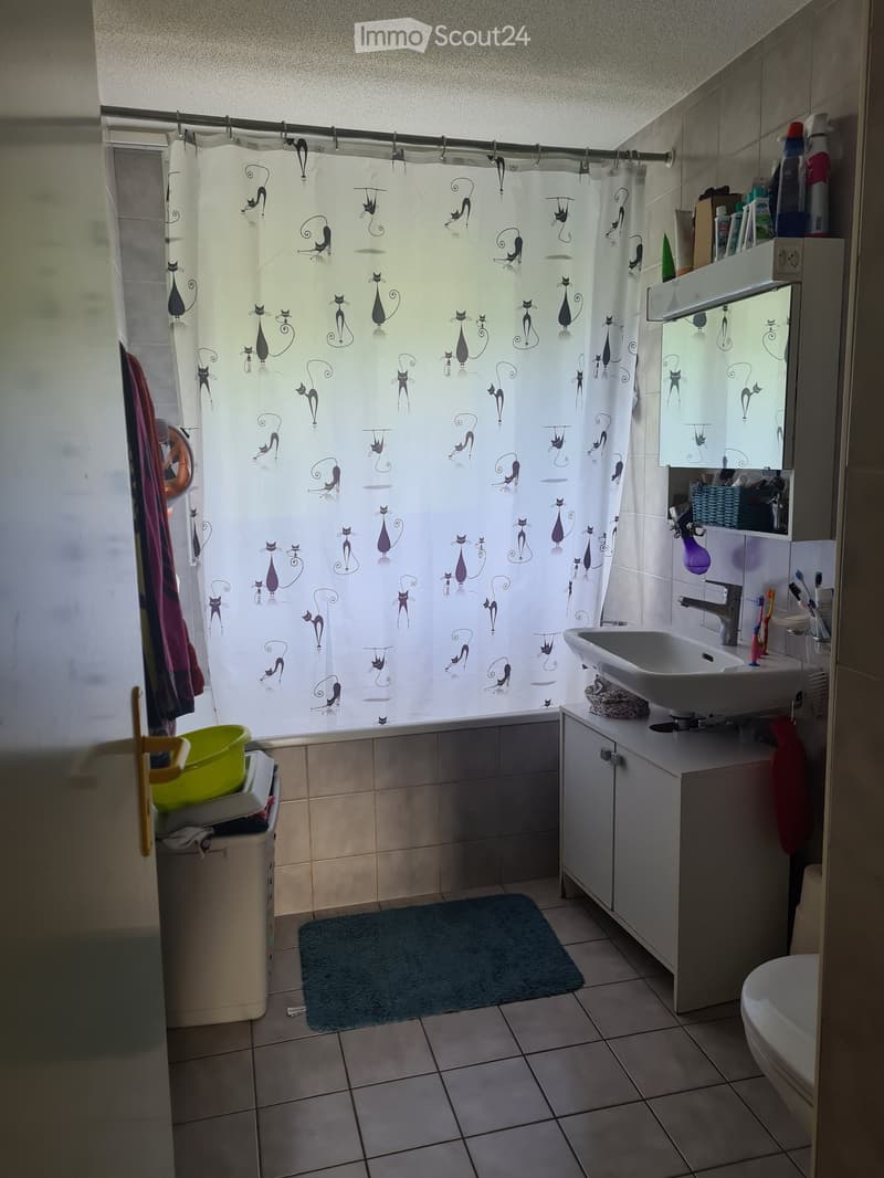 4,5 locali, Vilars (3)
