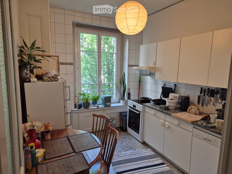 3 pièces Appartement à Jonction (5)