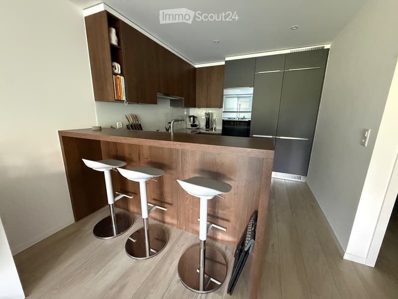 Appartement moderne de 3.5 pièces (2)