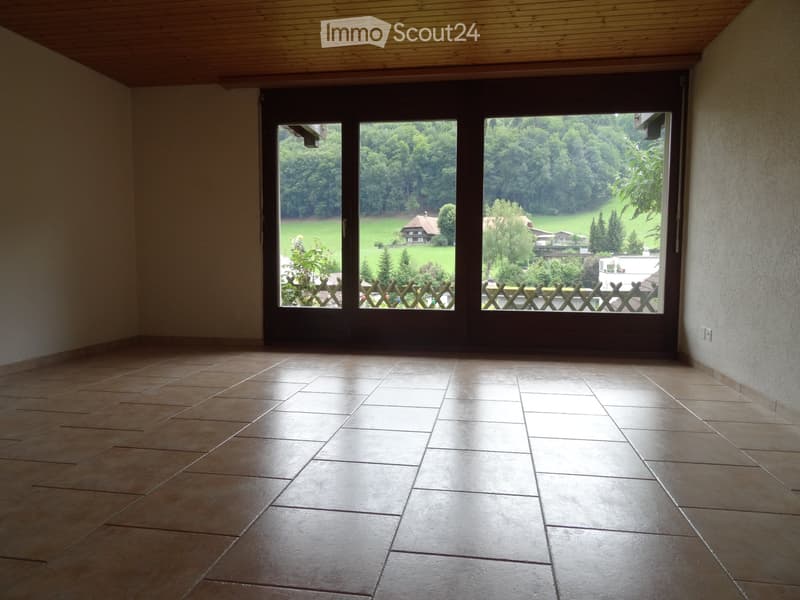 Schöne, helle, grosse 3 Zi-Parterre-Wohnung in 3-Fam.haus (3)