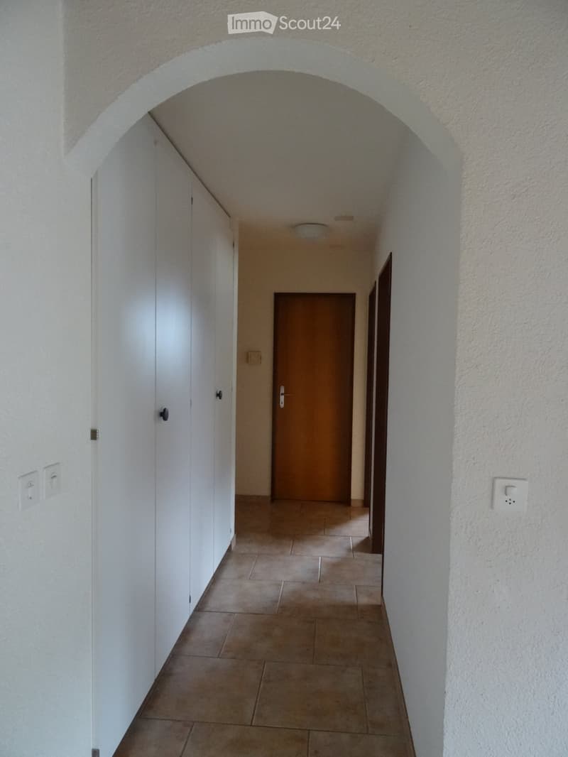 Schöne, helle, grosse 3 Zi-Parterre-Wohnung in 3-Fam.haus (2)
