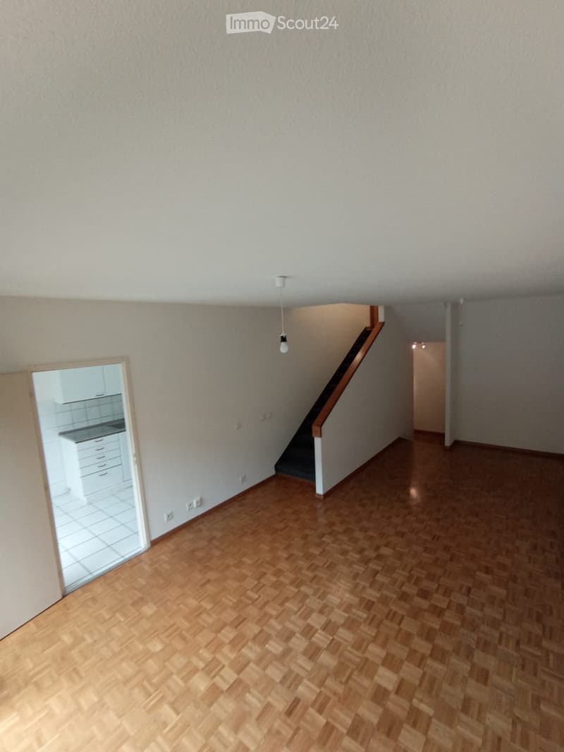 Helles 4-Zimmer-Duplexwohnung mit Garten in Thônex (5)