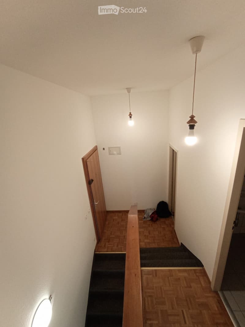 Helles 4-Zimmer-Duplexwohnung mit Garten in Thônex (4)