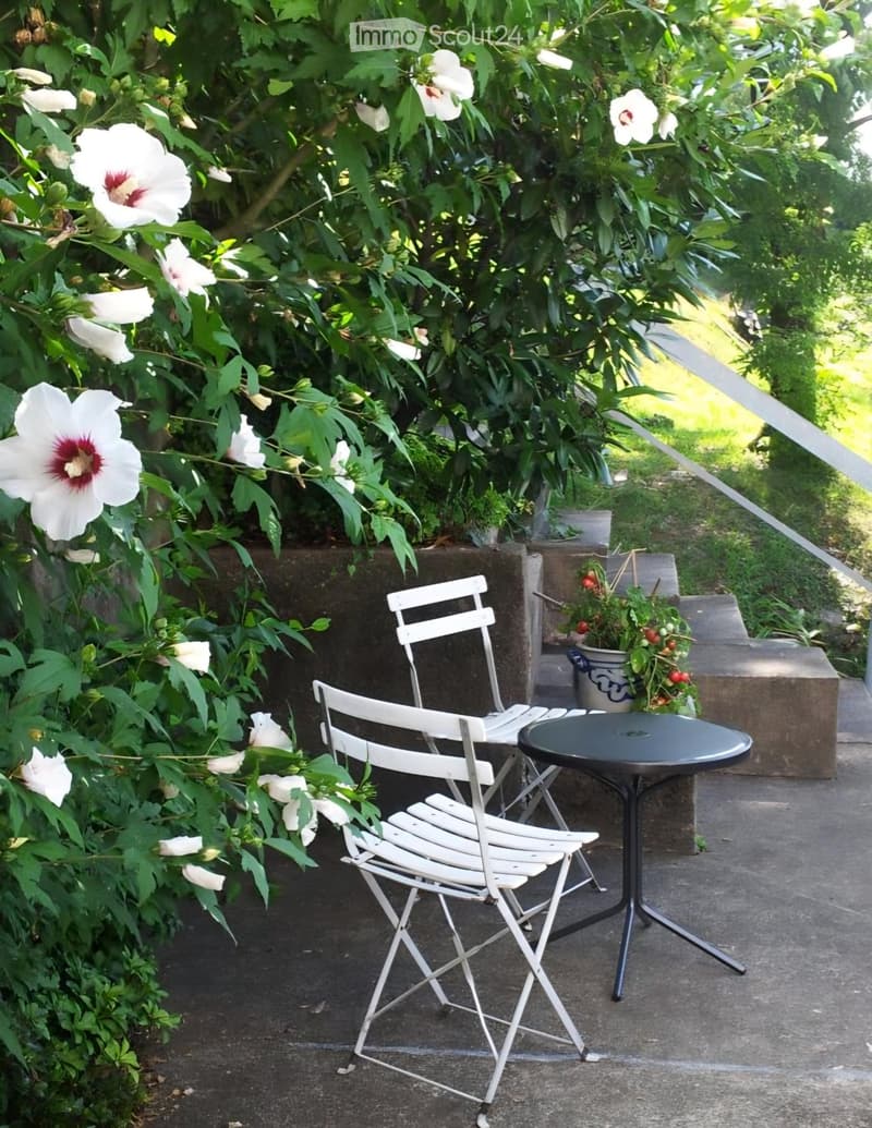 Appartement avec terrasse à Monteggio (5)