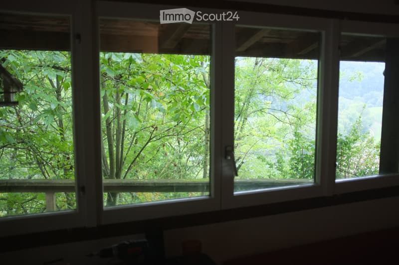 Chalet de weekend Aubonne (4)