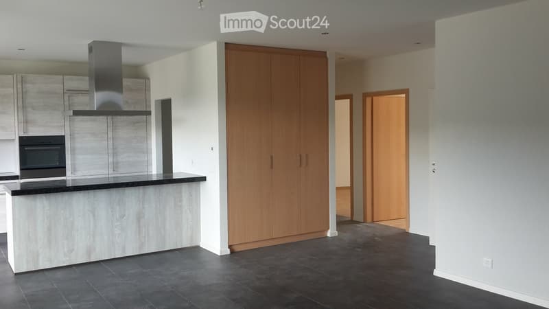 Magnifique appartement de 3.5 pces en attique (3)