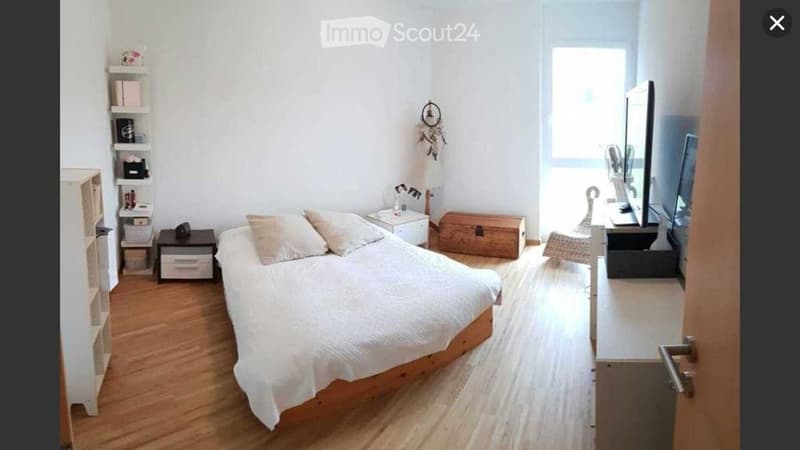 Magnifique appartement de 3.5 pces en attique (4)
