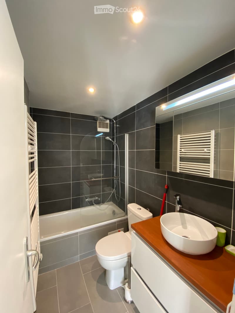 2.5-room furnished apartment in Monthey (3)