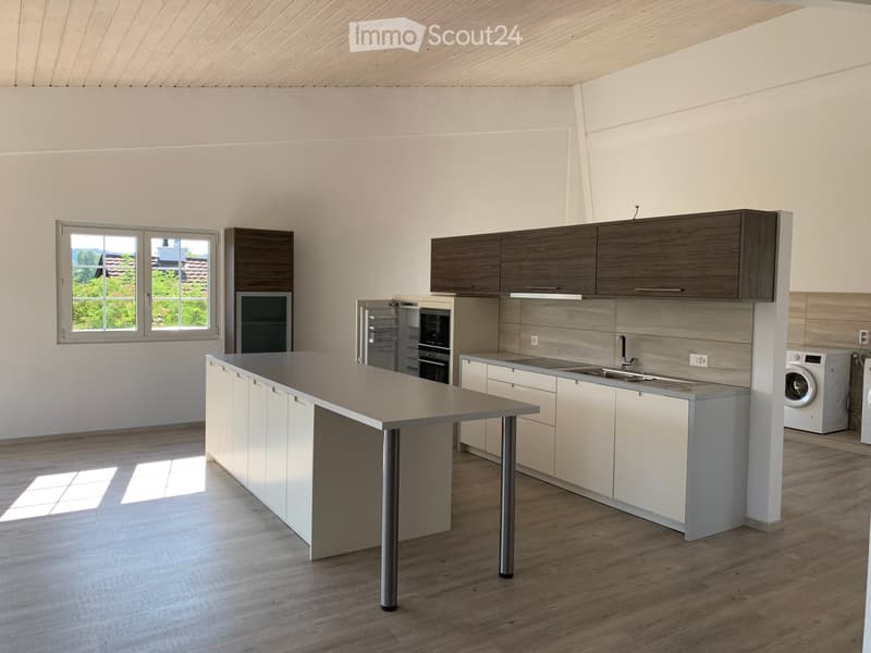 Außergewöhnliches Loft zur Miete (4)