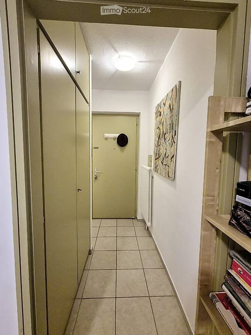 Lugano, affitto monolocale arredato (3)