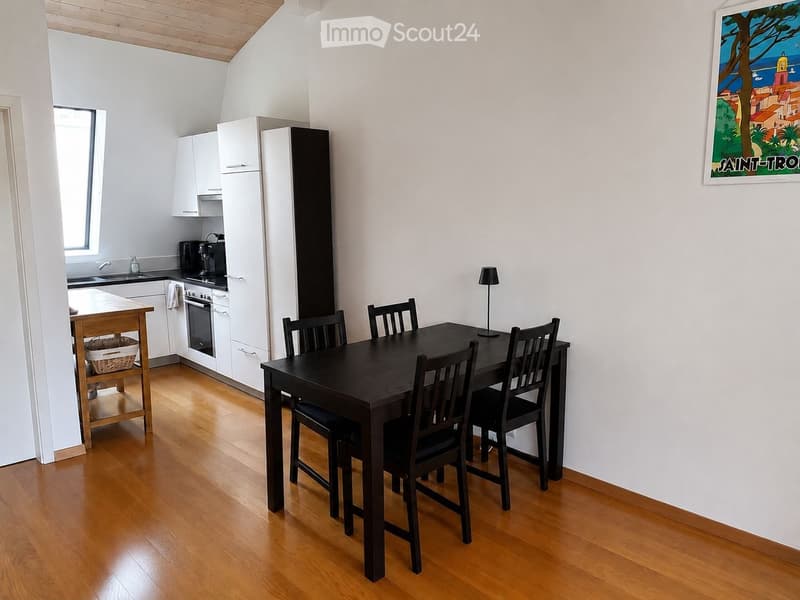 Appartamento 3 locali 55 m² nel centro di Ginevra (3)