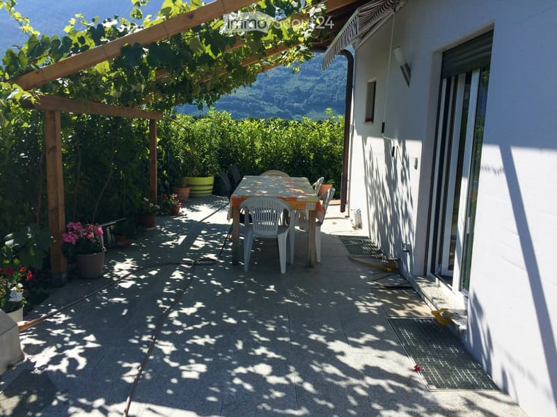 4 camere in condivisione, enorme appartamento e una vasta area esterna (2)