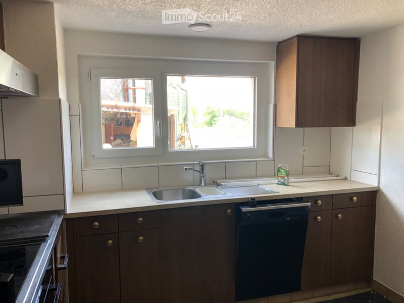 Appartamento 3,5 locali al pianterreno (4)