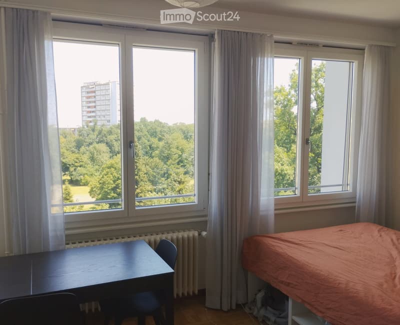 Reprise de bail au 16 août, lumineux appartement de 1,5 P (3)