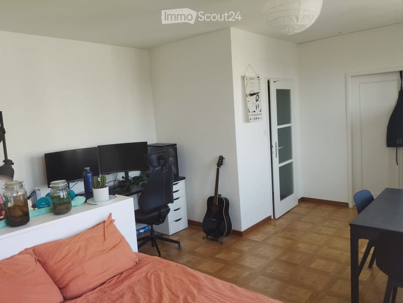 Reprise de bail au 16 août, lumineux appartement de 1,5 P (2)