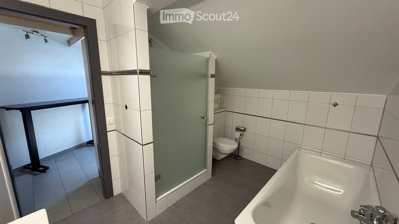 Sous-location indépendante 2 pièces 65m2 (5)