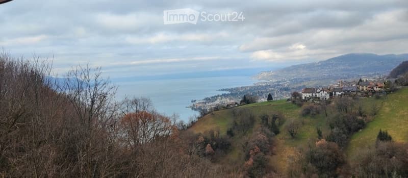 Meraviglioso studio con vista panoramica su tutta la Riviera (2)
