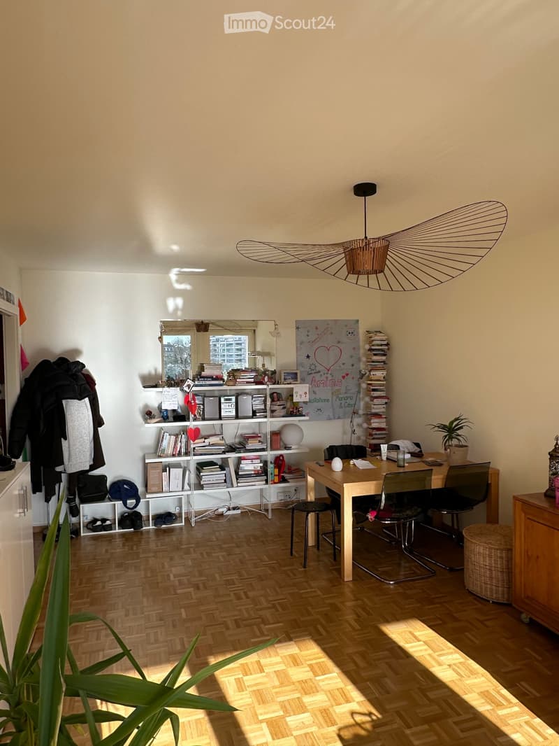 Appartamento 3 locali in cambio (2)