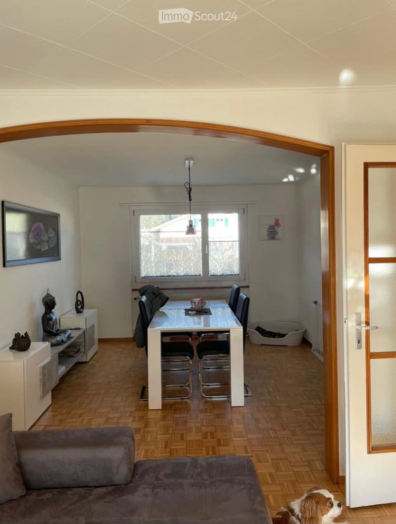 Casa spaziosa di 4.5 locali con grande giardino chiuso (5)