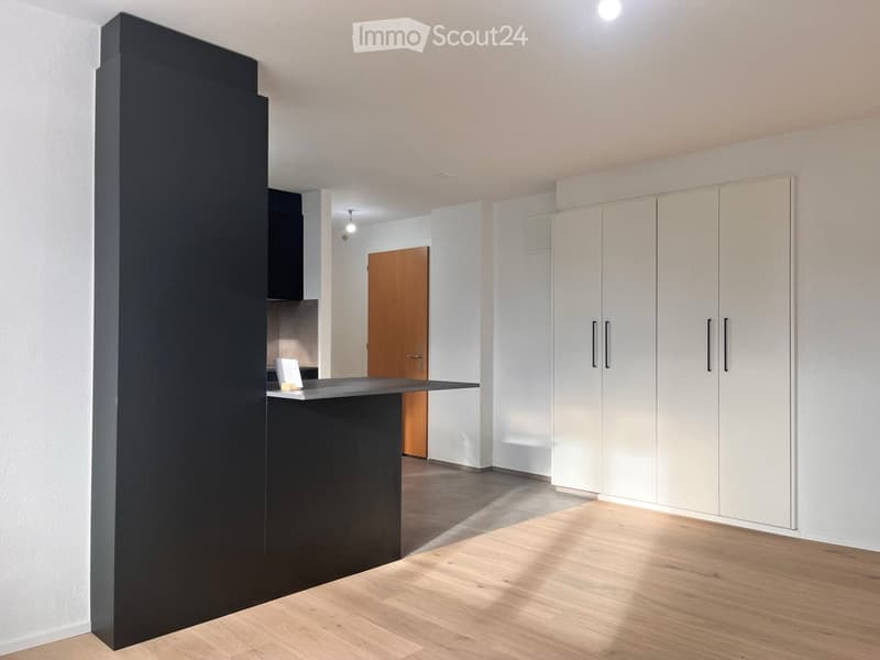 Appartement lumineux dans quartier calme (5)