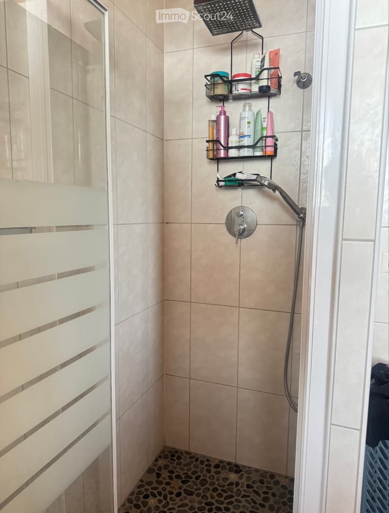 Appartamento 5,5 locali CHF 2300.- con spese (4)
