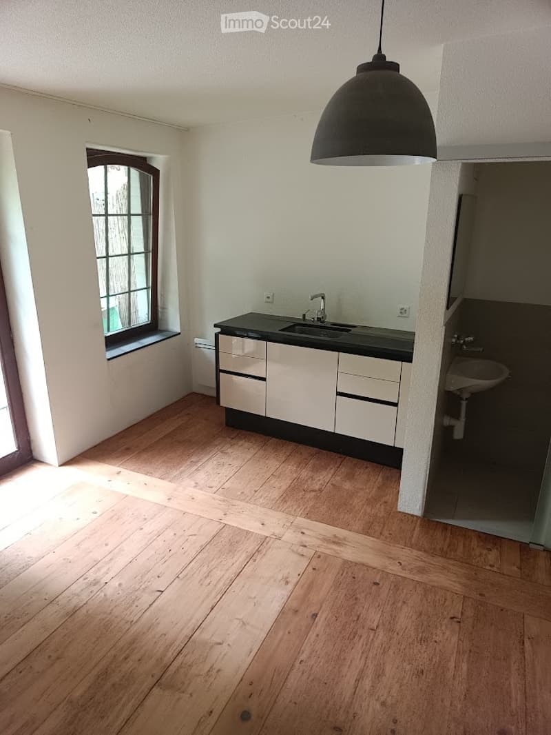 À louer  Appartement 5 pcs avec jardin au cur de Fribourg (4)