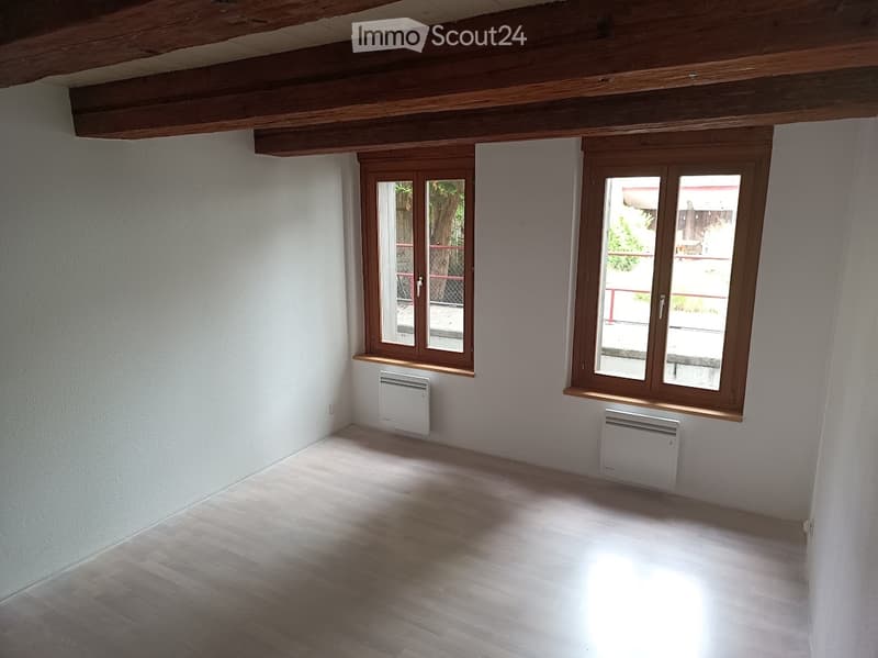 À louer  Appartement 5 pcs avec jardin au cur de Fribourg (3)
