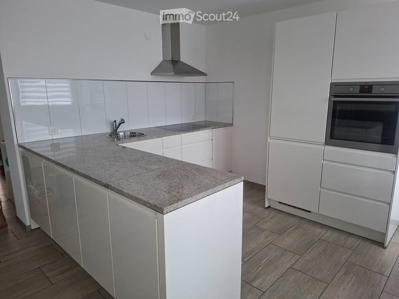 Charmant appartement à Bienne (5)