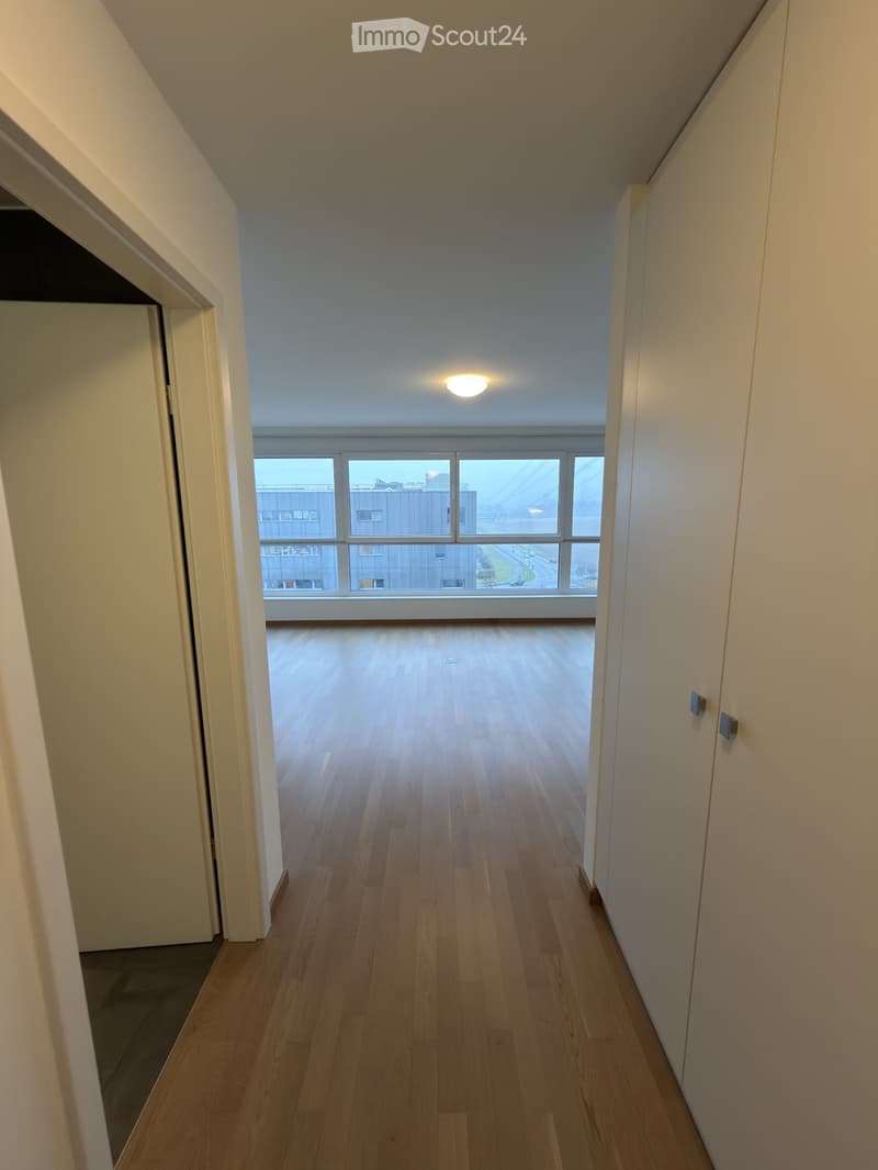Meraviglioso appartamento a Nyon (2)