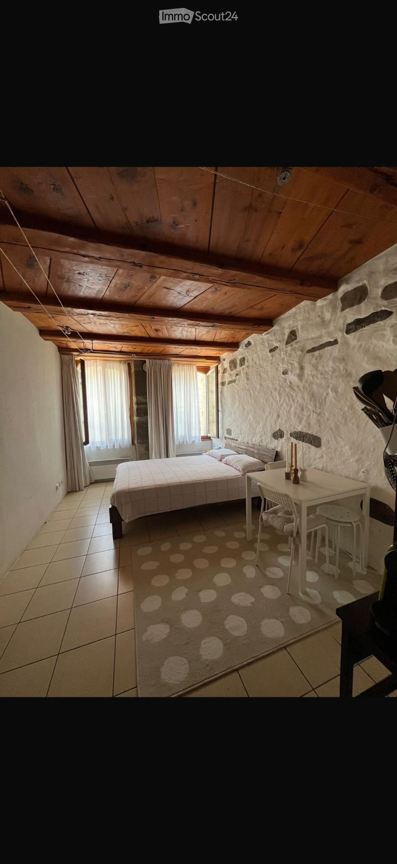 In affitto Studio nel cuore di Friburgo (1)