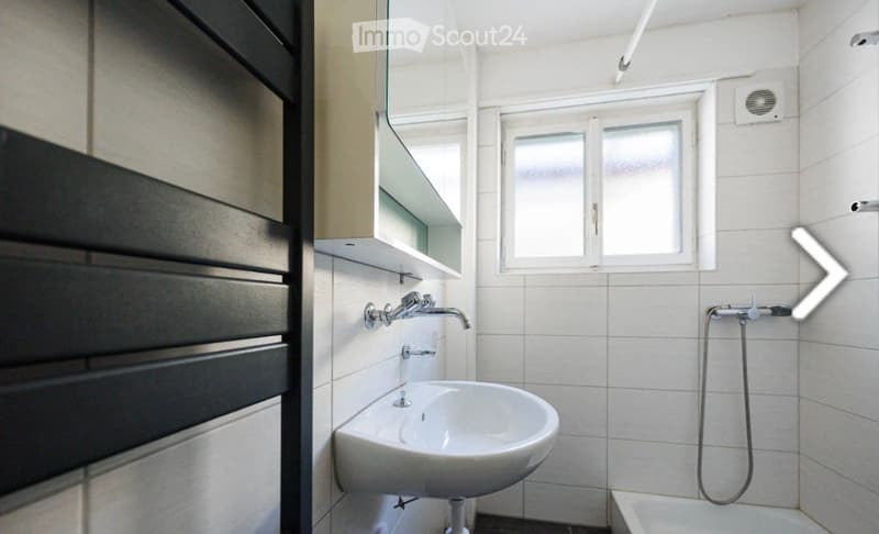 House with 2 apartments in Develier (5)