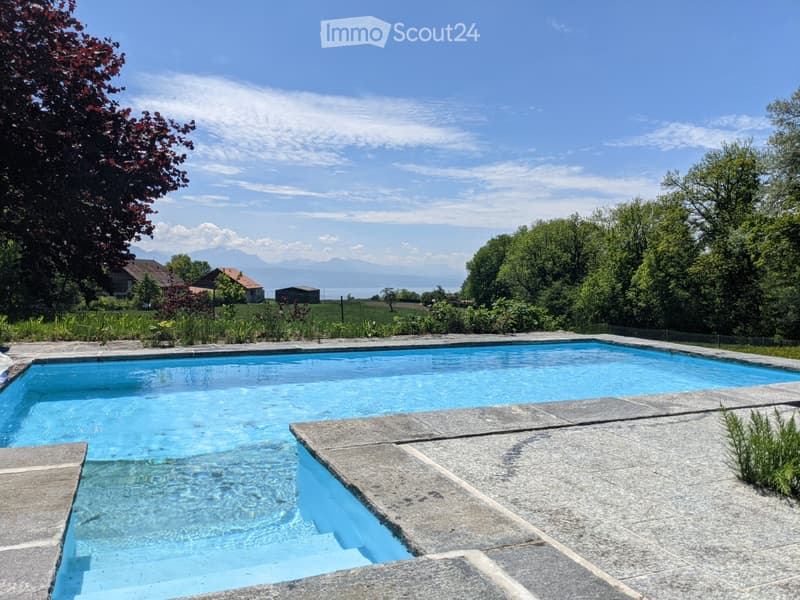 Monolocale con terrazza e piscina, 15 minuti da Losanna (1)