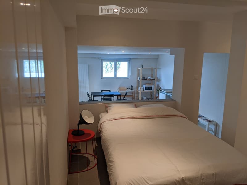 Monolocale con terrazza e piscina, 15 minuti da Losanna (3)