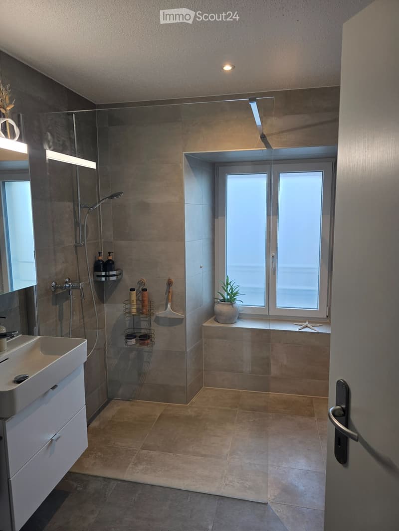 4.5 Room Apartment (3)