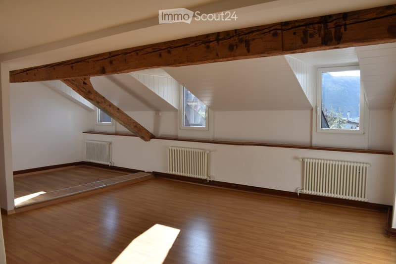 Ampio appartamento di 3,5 locali con 135 m2 e giardino (2)