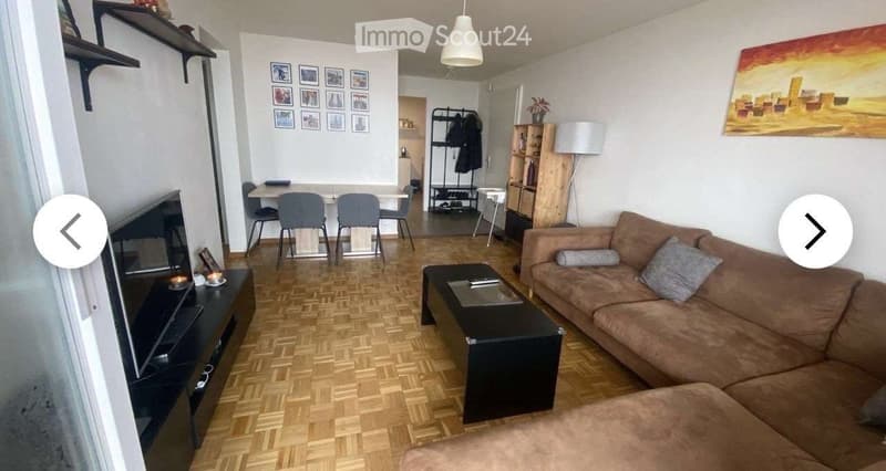 Appartamento 2 camere a Neuchâtel - disponibile inizio agosto! (3)