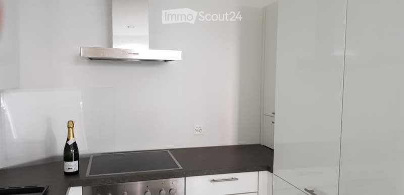 Appartamento 3.5 locali con giardino a Thierrens (3)