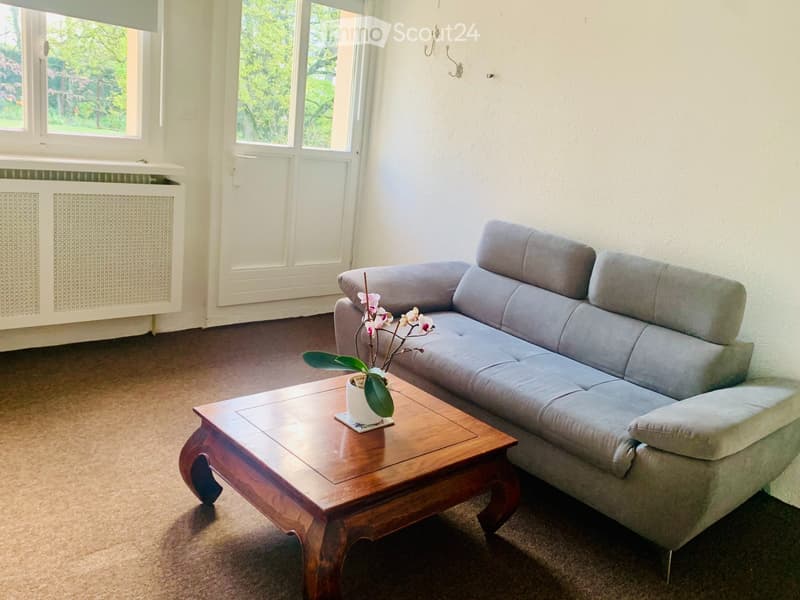 2 rooms studio in stunning estate very close to lake (5)