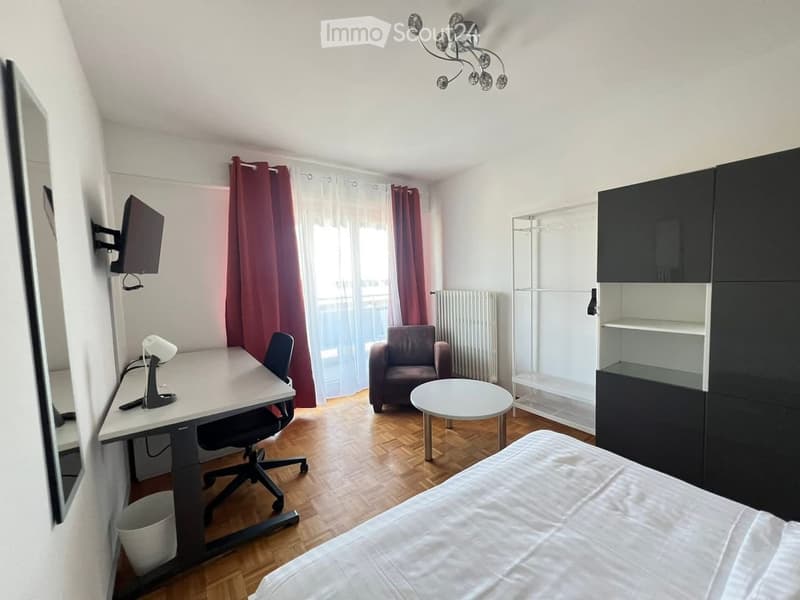 1 Piece furnished Zurich 8006 (1)