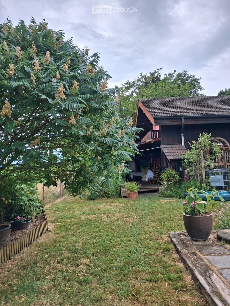 Chalet à louer dans les hauteurs de Boudry (2)
