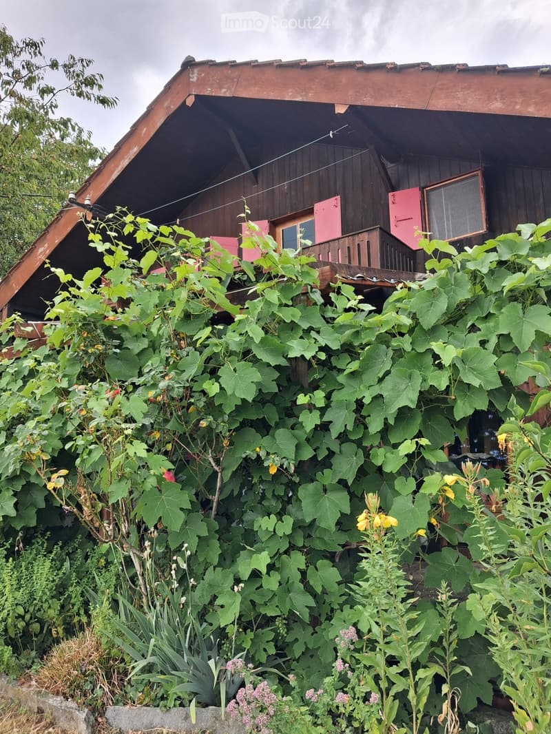 Chalet à louer dans les hauteurs de Boudry (1)
