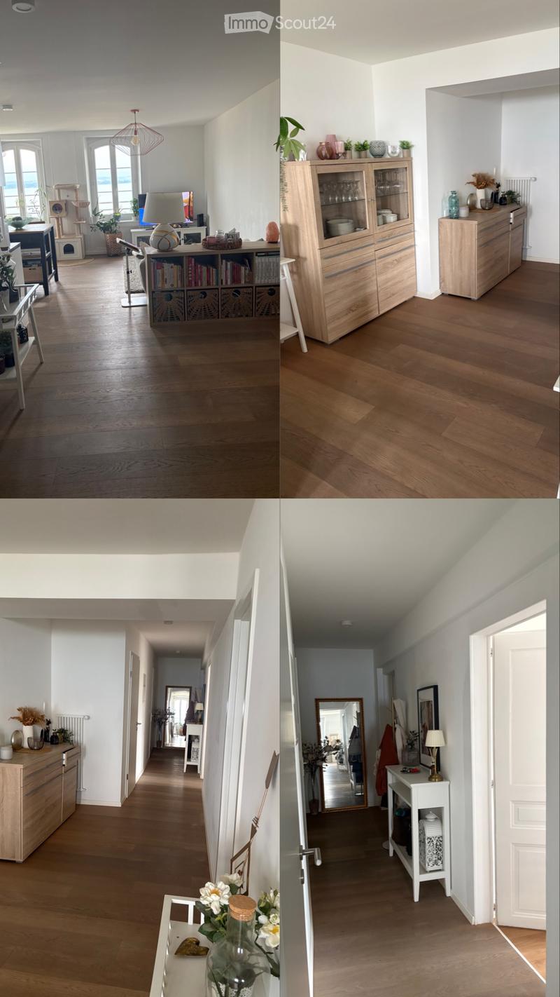 Apartment 3.5 rooms with terrace (5)